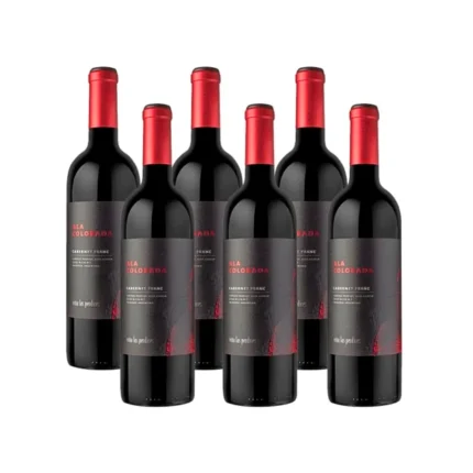 ALA COLORADA CABERNET FRANC CAJA x 6 u.