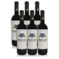 ARAUCANA RIO DE LOS CIERVOS MALBEC CAJA X 6un