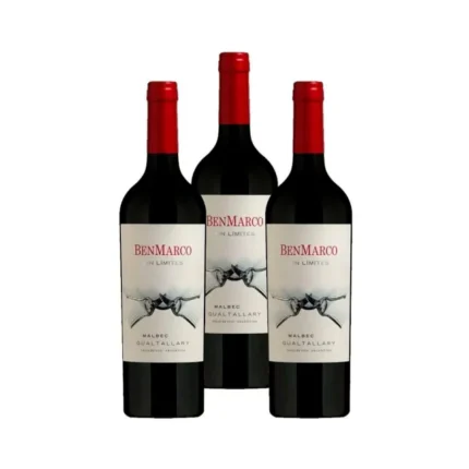 BENMARCO SIN LIMITE MALBEC GUALTALLARY CAJA x 3u