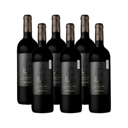 EXPLORACIÓN MALBEC LA CONSULTA CAJA x 6 u.