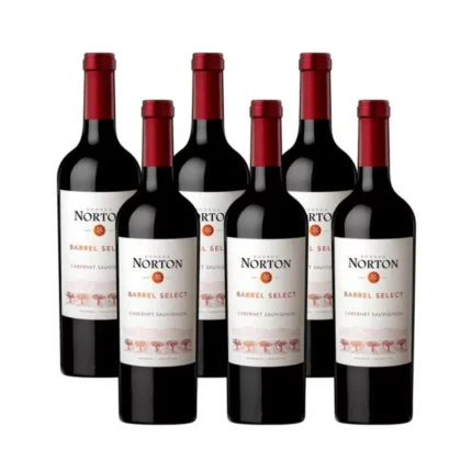 NORTON BARREL SELECT CABERNET SAUVIGNON CAJA X 6