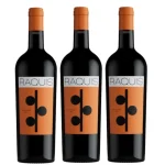RAQUIS LAS BASES MALBEC CAJA X 3UN