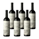 SAINT FELICIEN CABERNET FRANC CAJA x 6u
