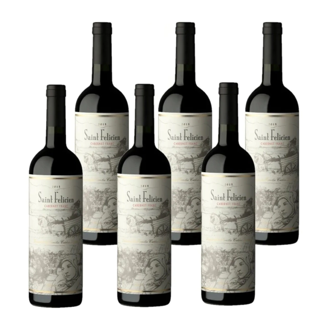 SAINT FELICIEN CABERNET FRANC CAJA x 6u SAINT FELICIEN CABERNET FRANC CAJA x 6u - Imagen 1