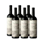 SAINT FELICIEN CABERNET SAUVIGNON CAJA x 6u