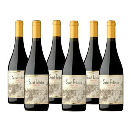 SAINT FELICIEN PINOT NOIR - CAJA x 6 u