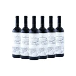 SAINT FELICIEN SYRAH CAJA X 6U