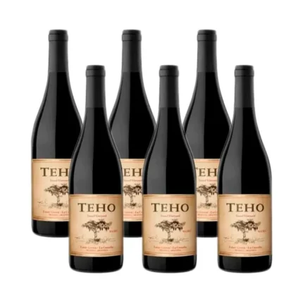TEHO MALBEC CAJA x 6 u.