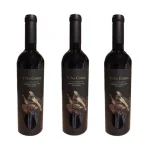 VI?A COBOS CHA?ARES ESTATE CABERNET FRANC CAJA X 3 UN