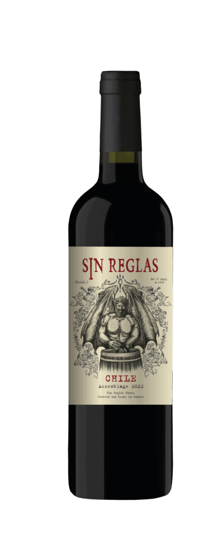 SIN REGLAS CHILE - ASSEMBLAGE