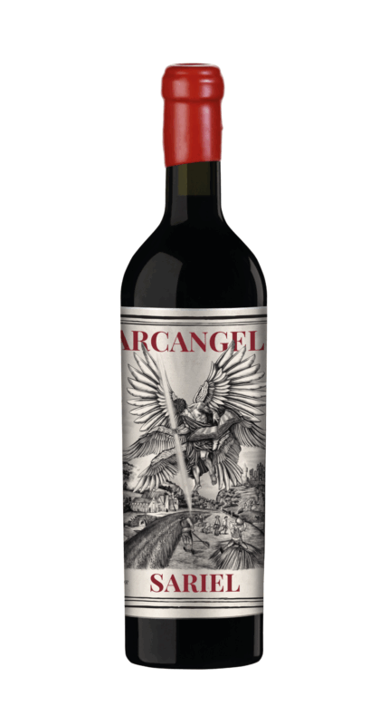 SIN REGLAS - ARCANGELES -