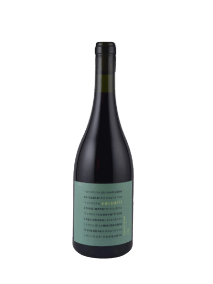 VERSATIL PINOT NOIR 2022