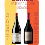 CONOCIENDO PINOT ALTA GAMA CH - MZA