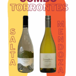 CONOCIENDO TORRONTES STA - MZA
